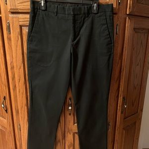 Express Dress Pants